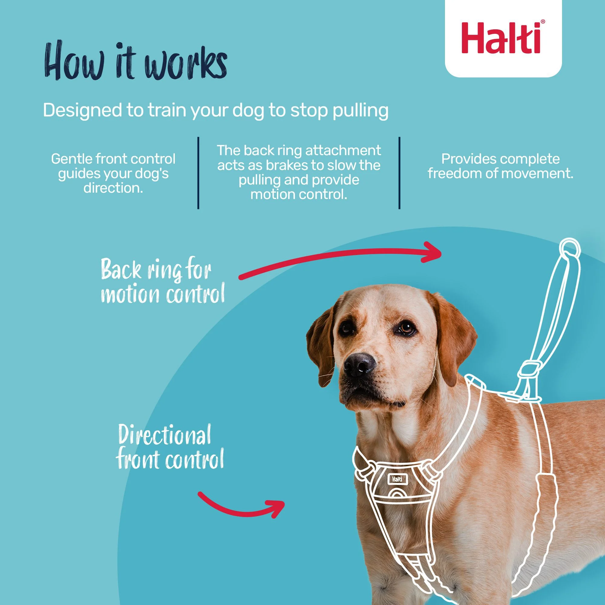 Halti No Pull Harness Large - Image 6