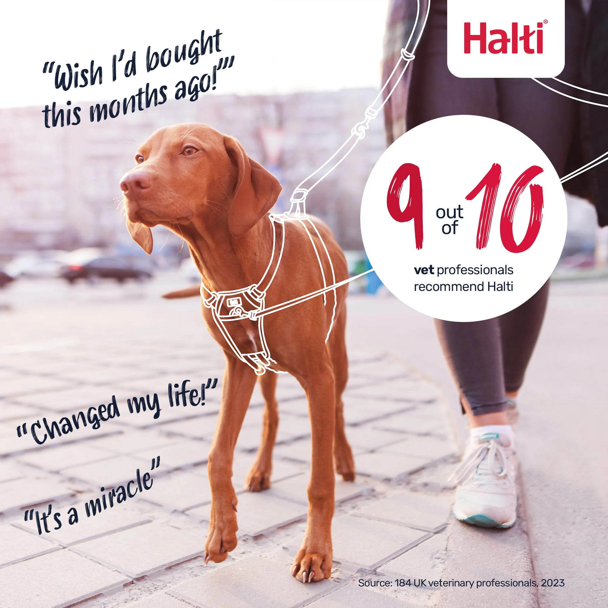 Halti No Pull Harness Large - Image 3