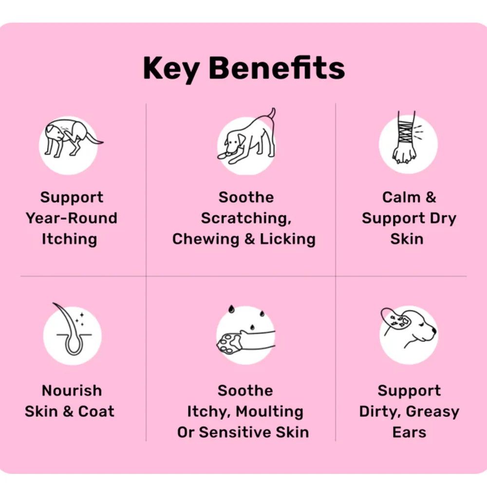 Nutripaw All-Itch & Immunity Treats - Image 3