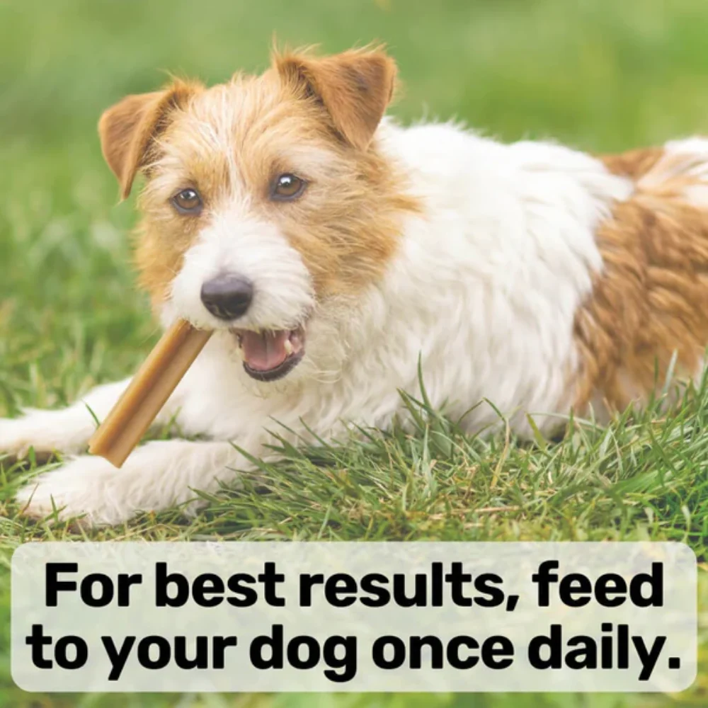 Nutripaw Dental Sticks - Image 4