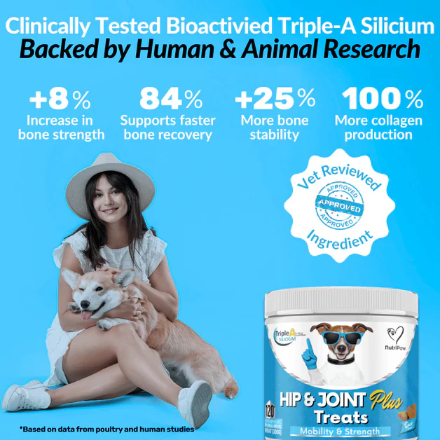 Nutripaw Hip and Joint Plus Treats - Image 2