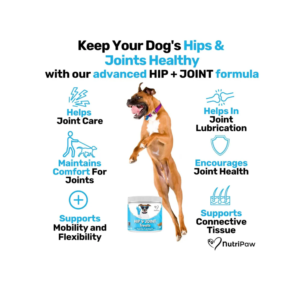 Nutripaw Hip and Joint Treats - Image 3