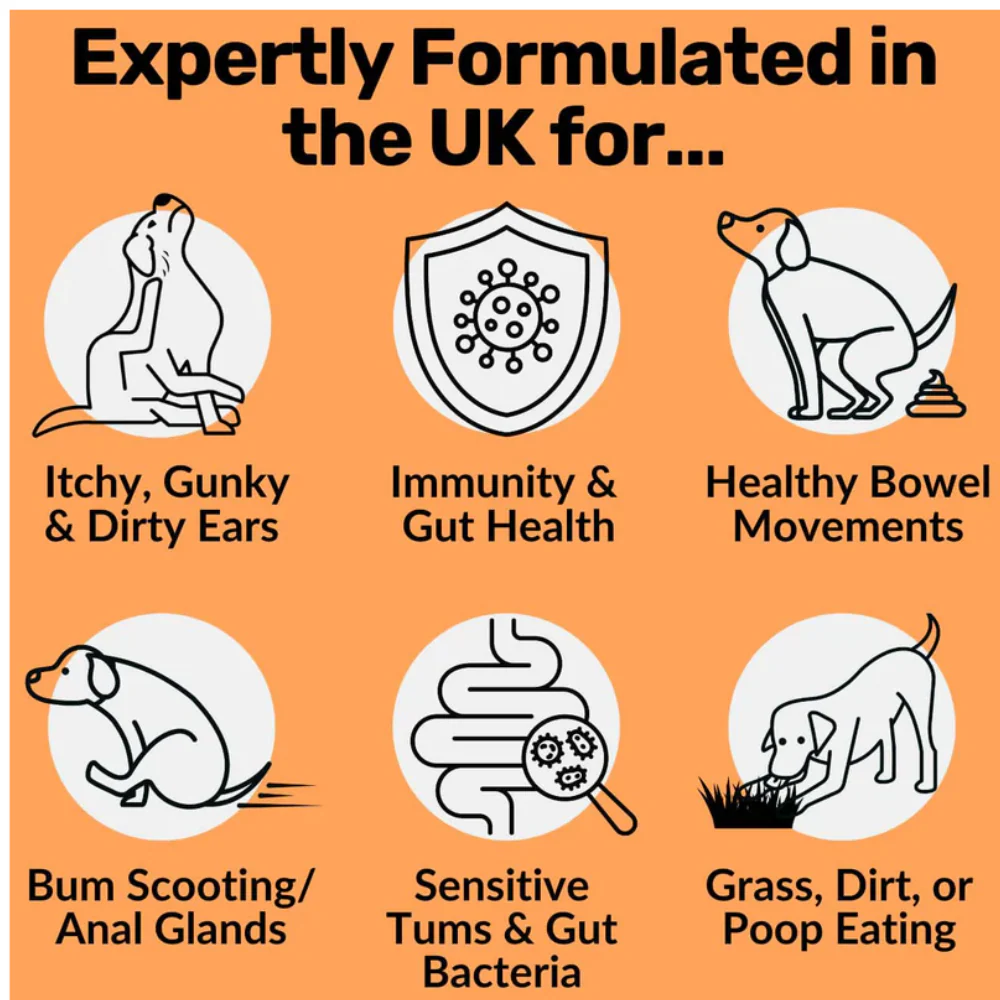 Nutripaw Pre, Pro and Post Biotic Treats for Gut, Immunity and Digestion - Image 2