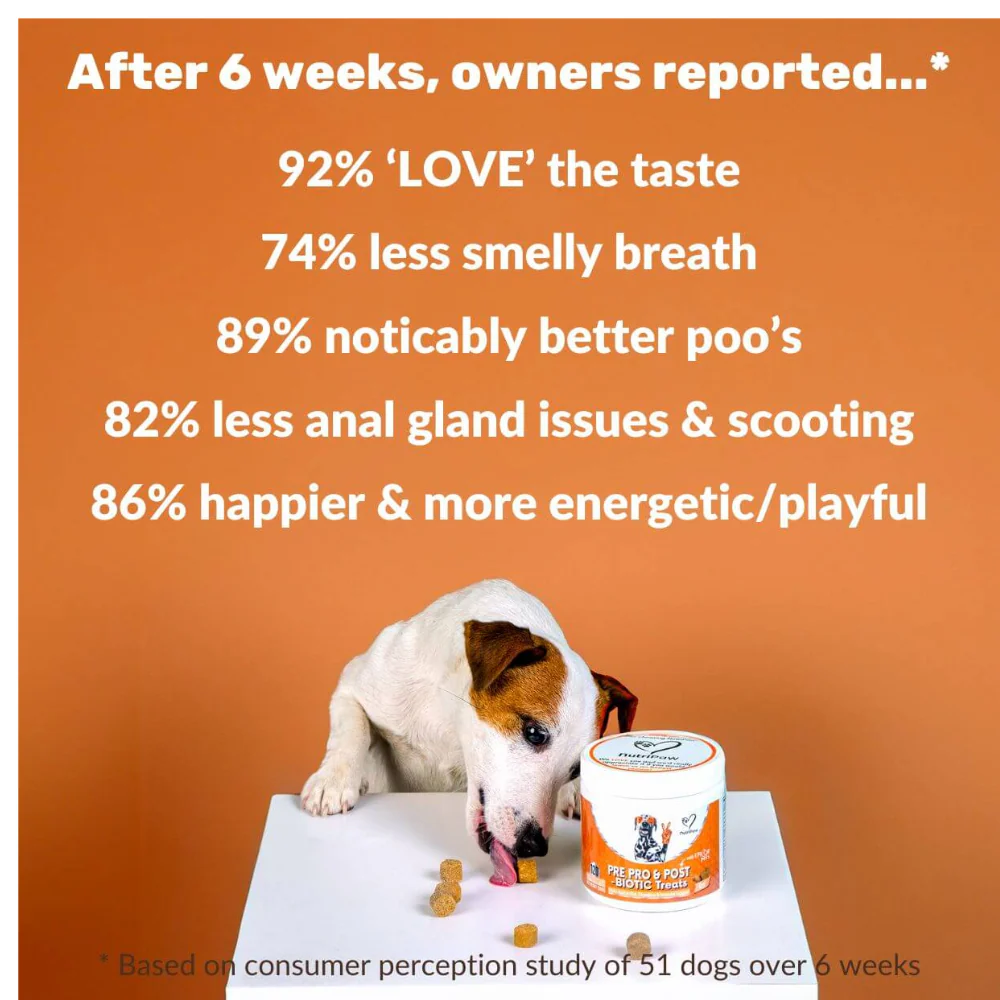 Nutripaw Pre, Pro and Post Biotic Treats for Gut, Immunity and Digestion - Image 3