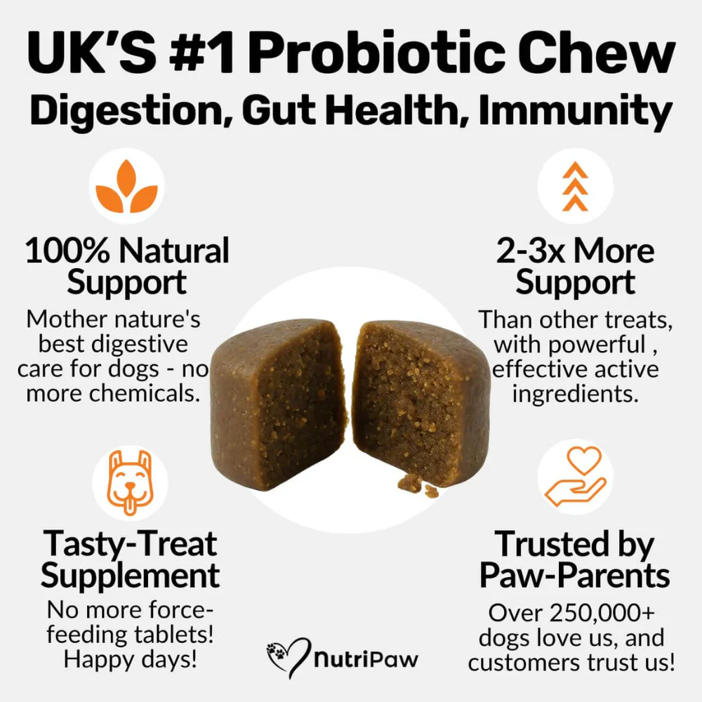 Nutripaw Pre, Pro and Post Biotic Treats for Gut, Immunity and Digestion - Image 4