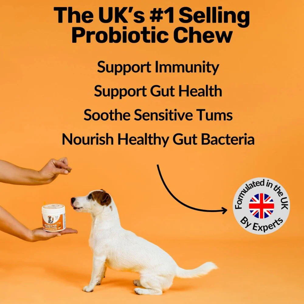 Nutripaw Pre, Pro and Post Biotic Treats for Gut, Immunity and Digestion - Image 5