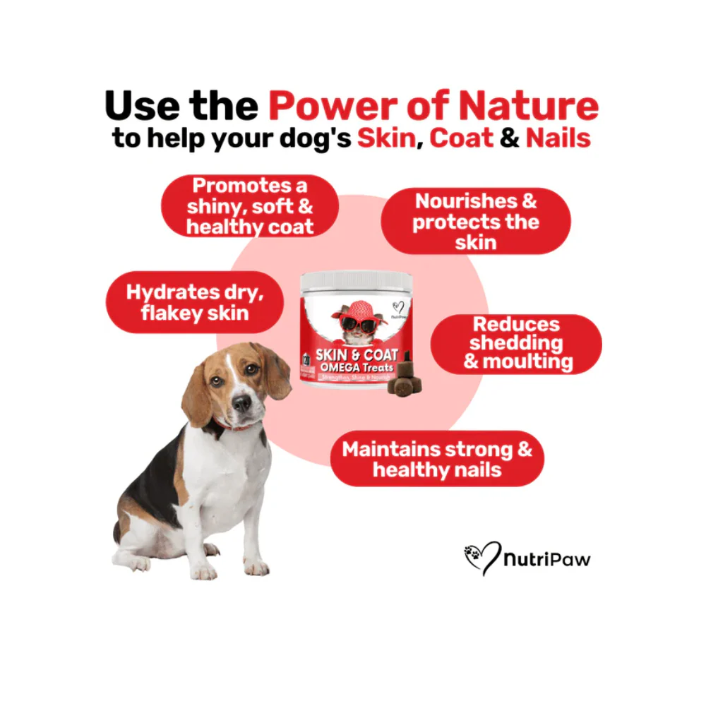 Nutripaw Skin and Coat Omega Treats - Image 2