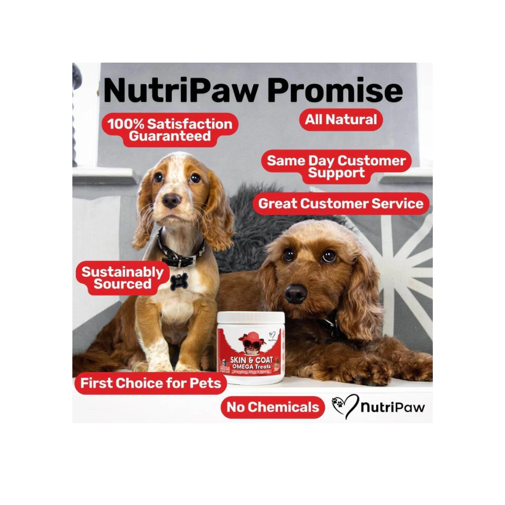 Nutripaw Skin and Coat Omega Treats - Image 6