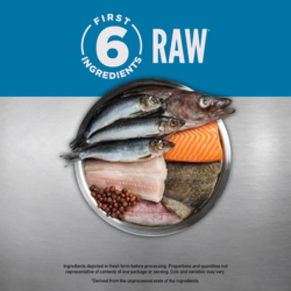 Orijen Six Fish Dog Food - Image 4