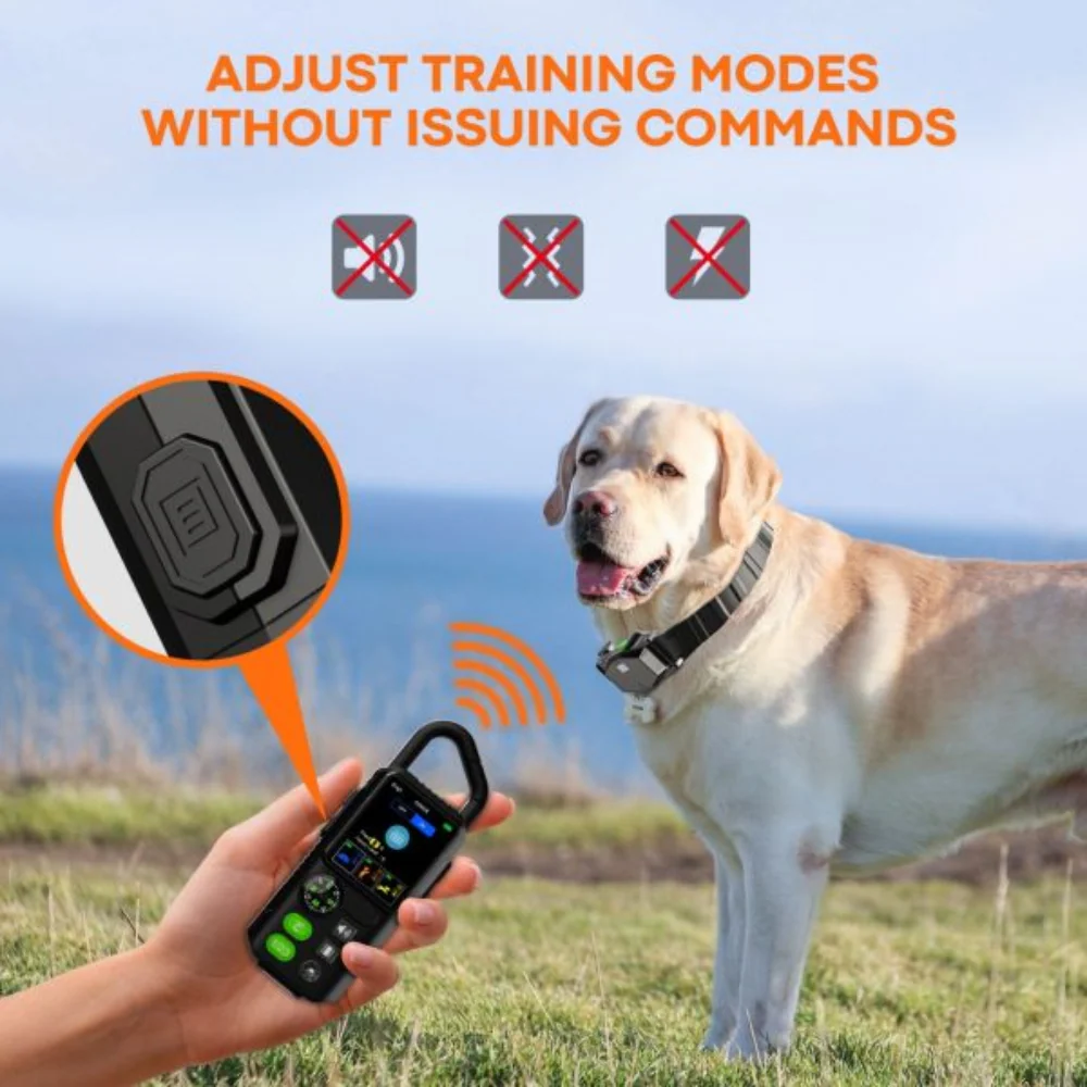Pawguard Freedom Go Fence – Portable Wireless Dog Fence and Trainer - Image 2