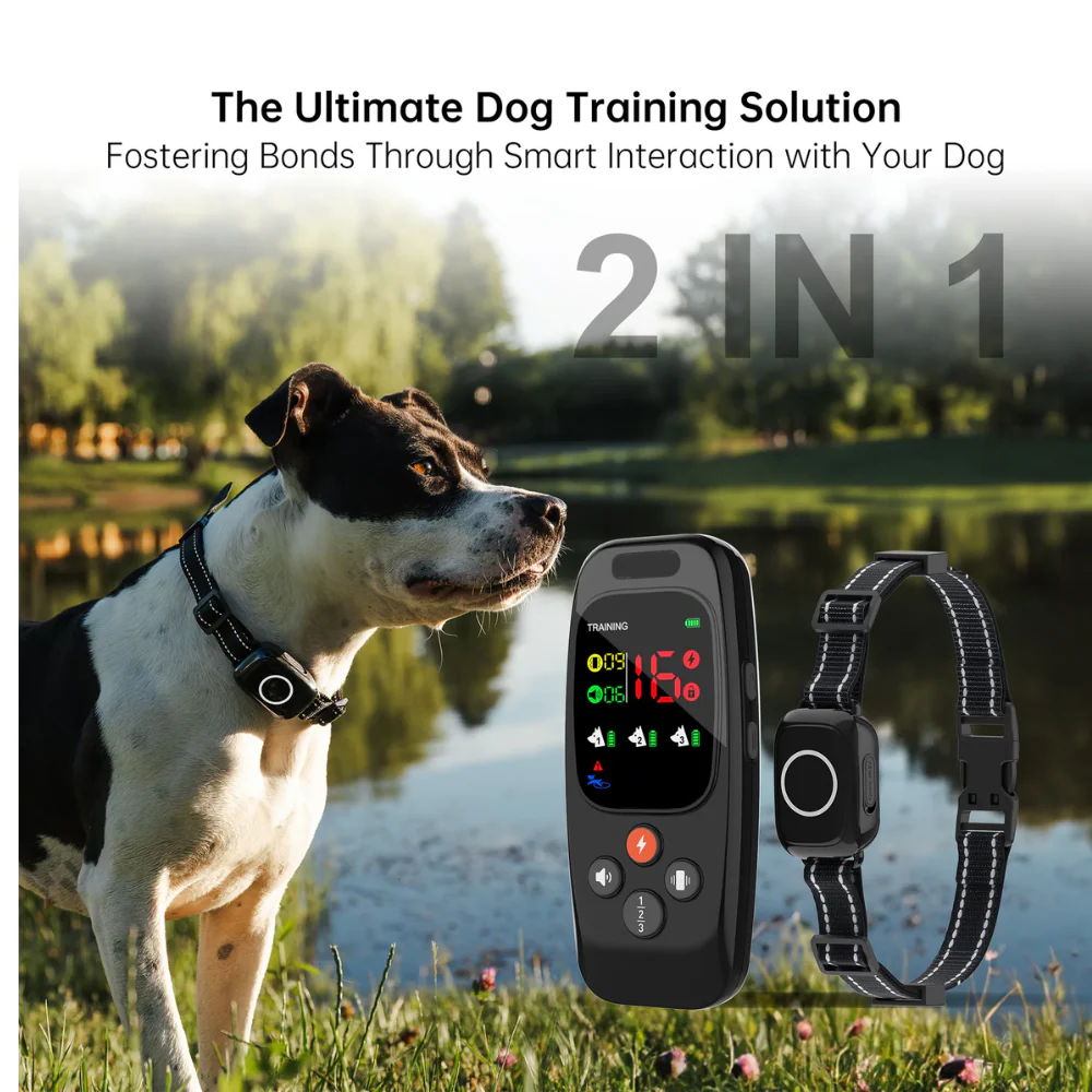 Pawguard T800 Training Collar - Image 2