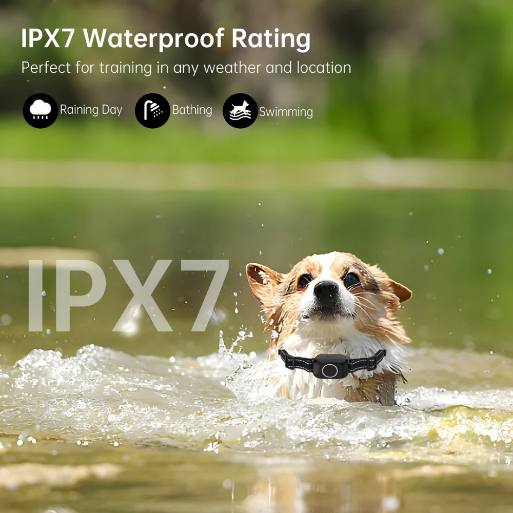 Pawguard T800 Training Collar - Image 9