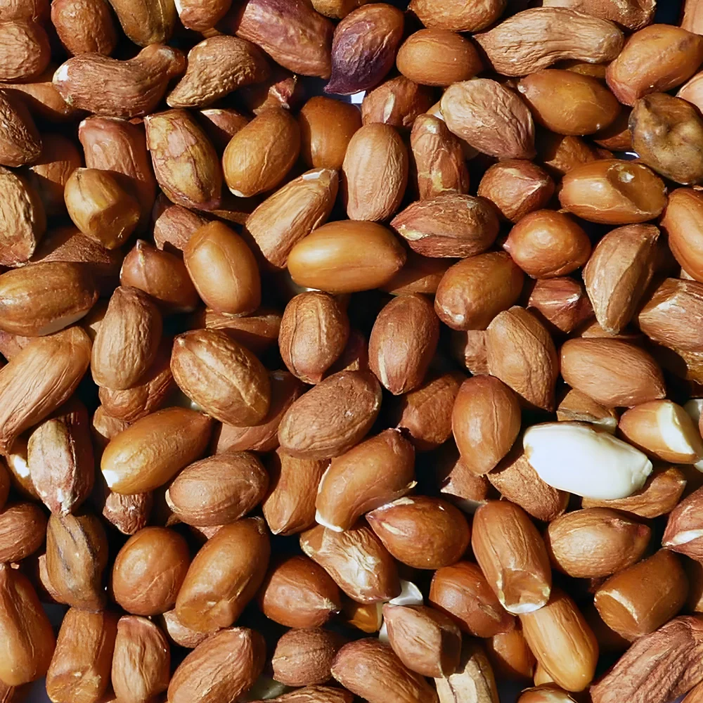 Natures Best Wild Bird Peanuts 2.5kg Tub