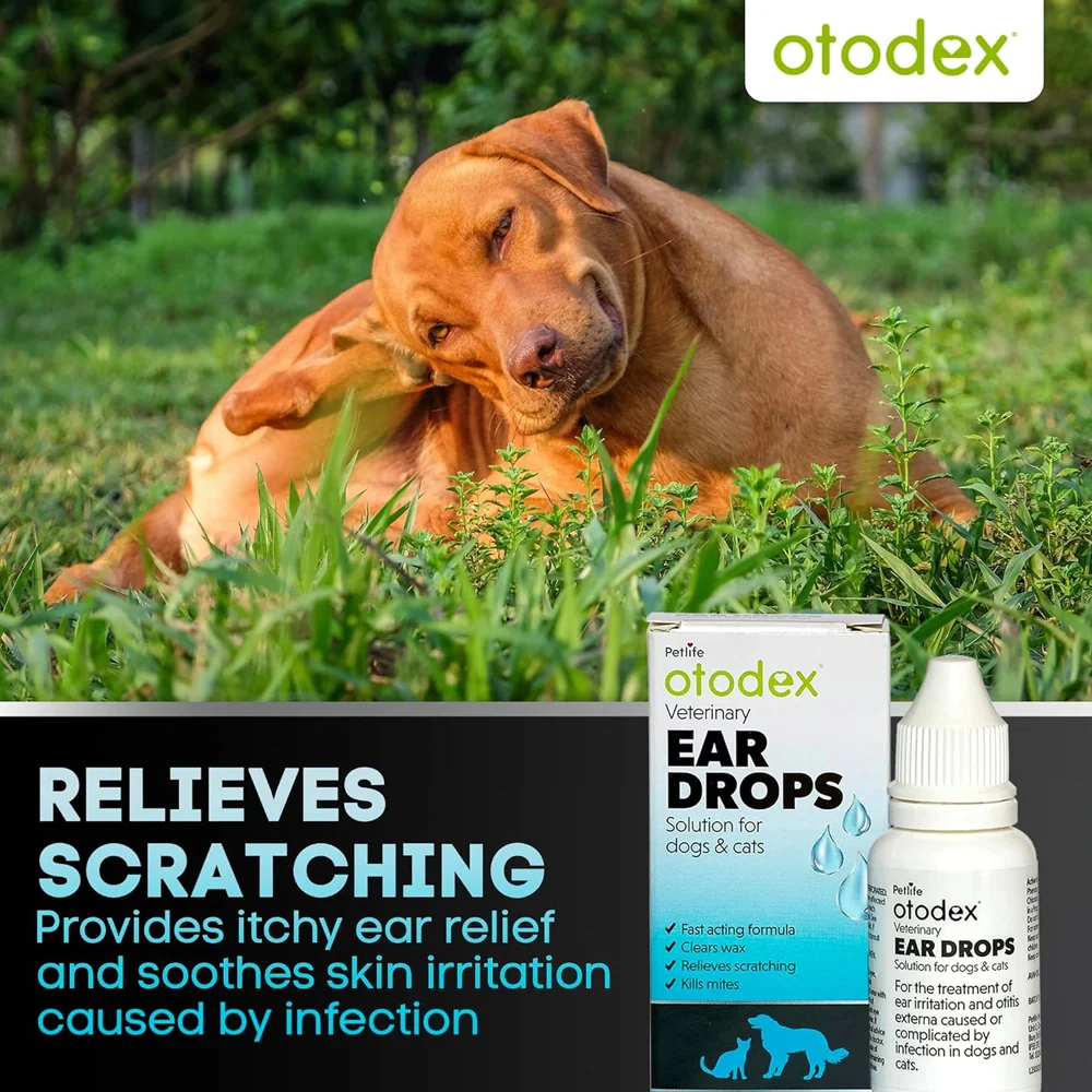 Otodex Eardrops 14ml - Image 5