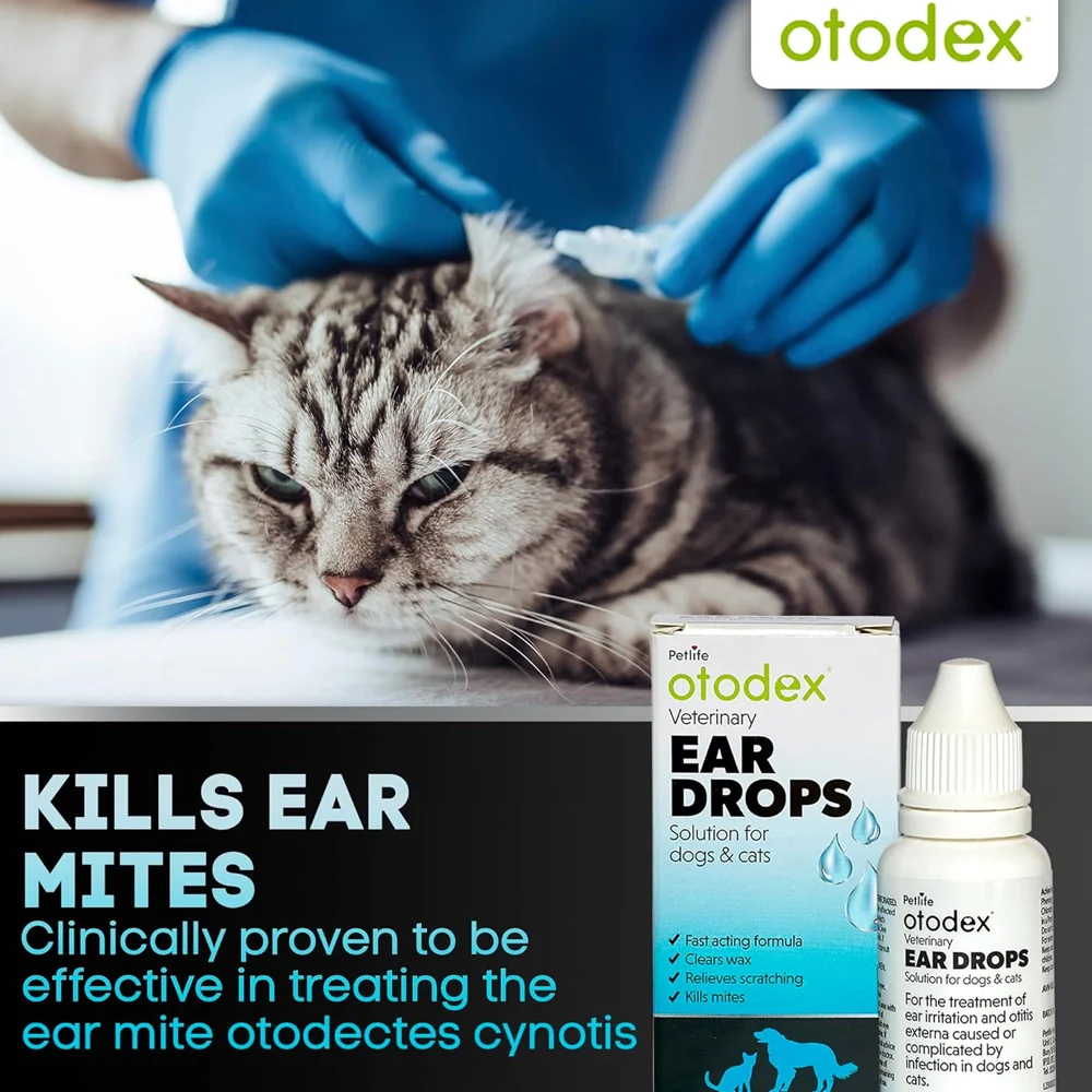 Otodex Eardrops 14ml - Image 6