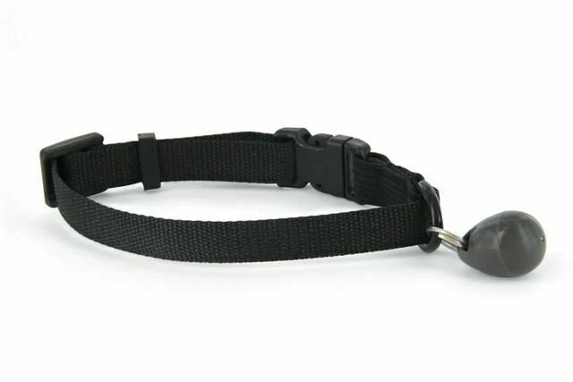 PETSAFE 980 Magnetic Collar Key 2 Pack - Image 2