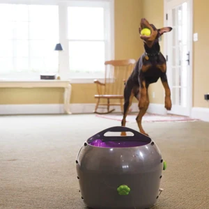 Petsafe Automatic Ball Launcher For Dogs - Image 4