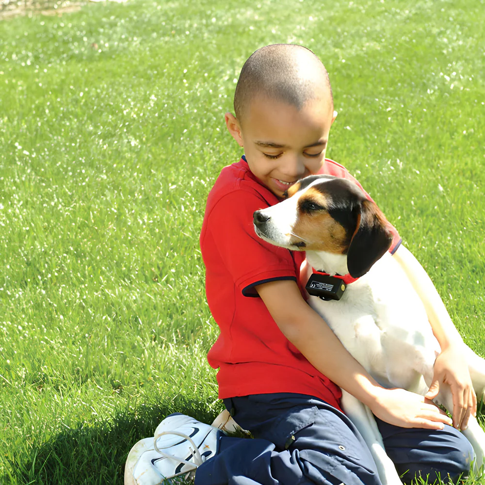 Petsafe Bark Control Collar - Static Anti-Bark Collar for Dogs - Image 3