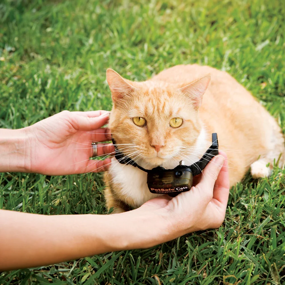 Petsafe Deluxe In-Ground Cat Fence System - Image 4