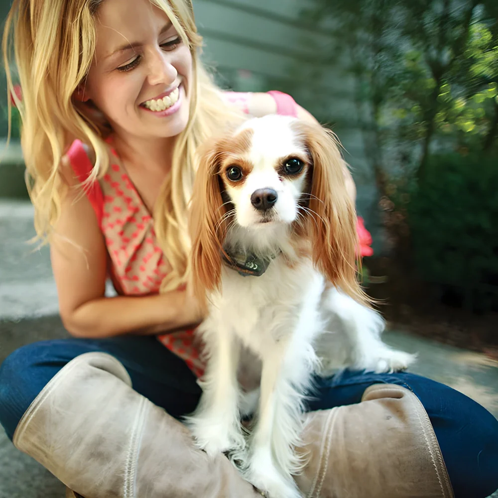 Petsafe Little Dog Deluxe In-Ground Fence System - Image 3
