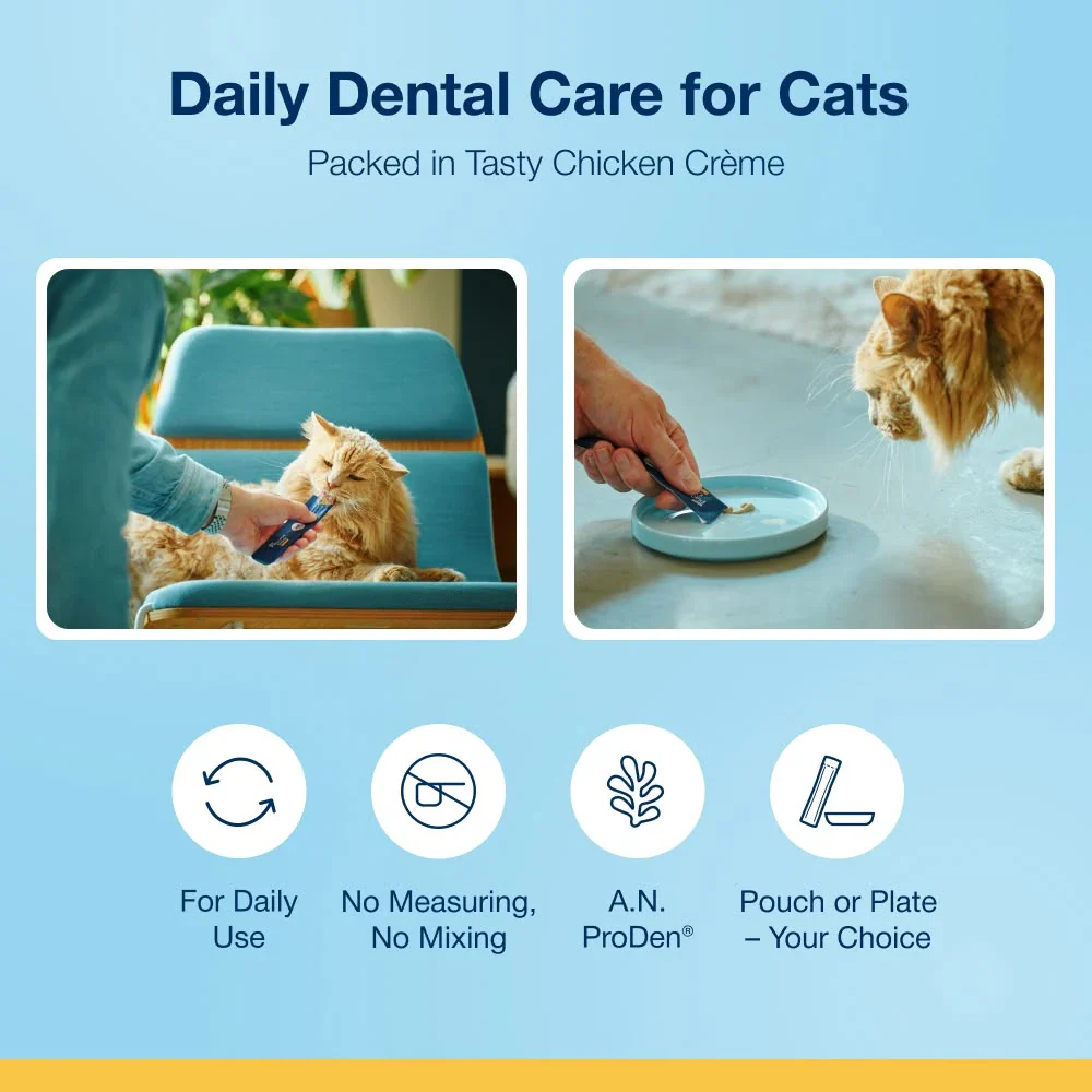 ProDen PlaqueOff Crème for Cats - Image 6
