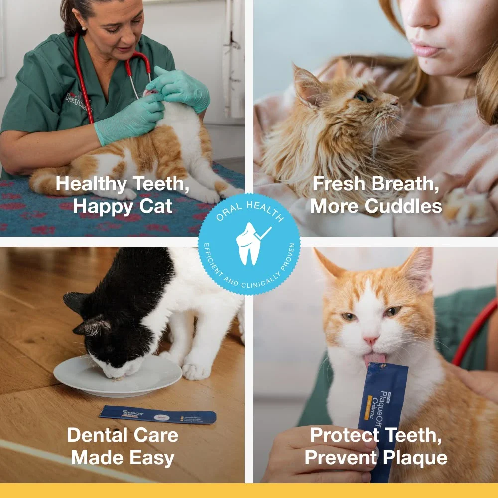 ProDen PlaqueOff Crème for Cats - Image 7