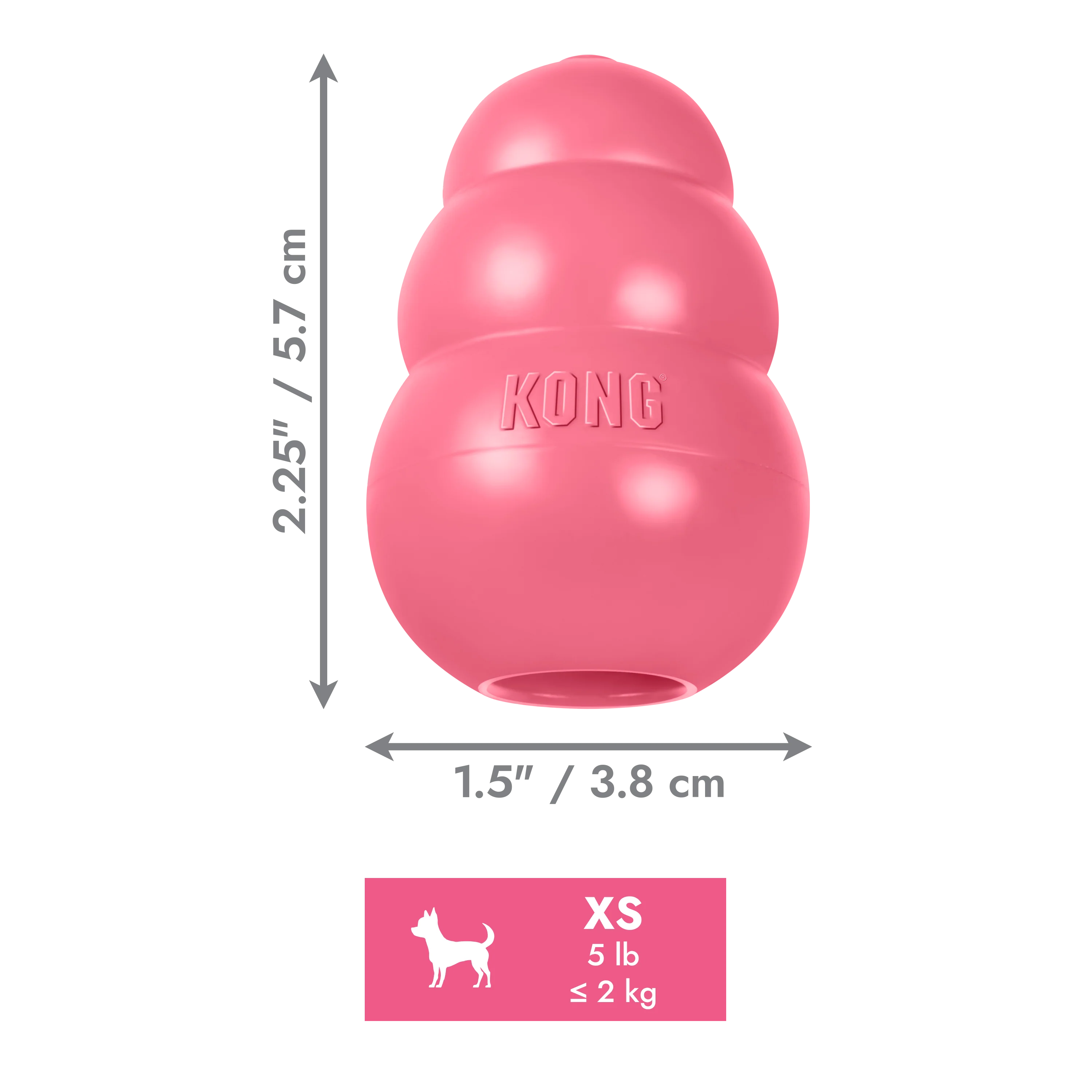 KONG Puppy - Image 13