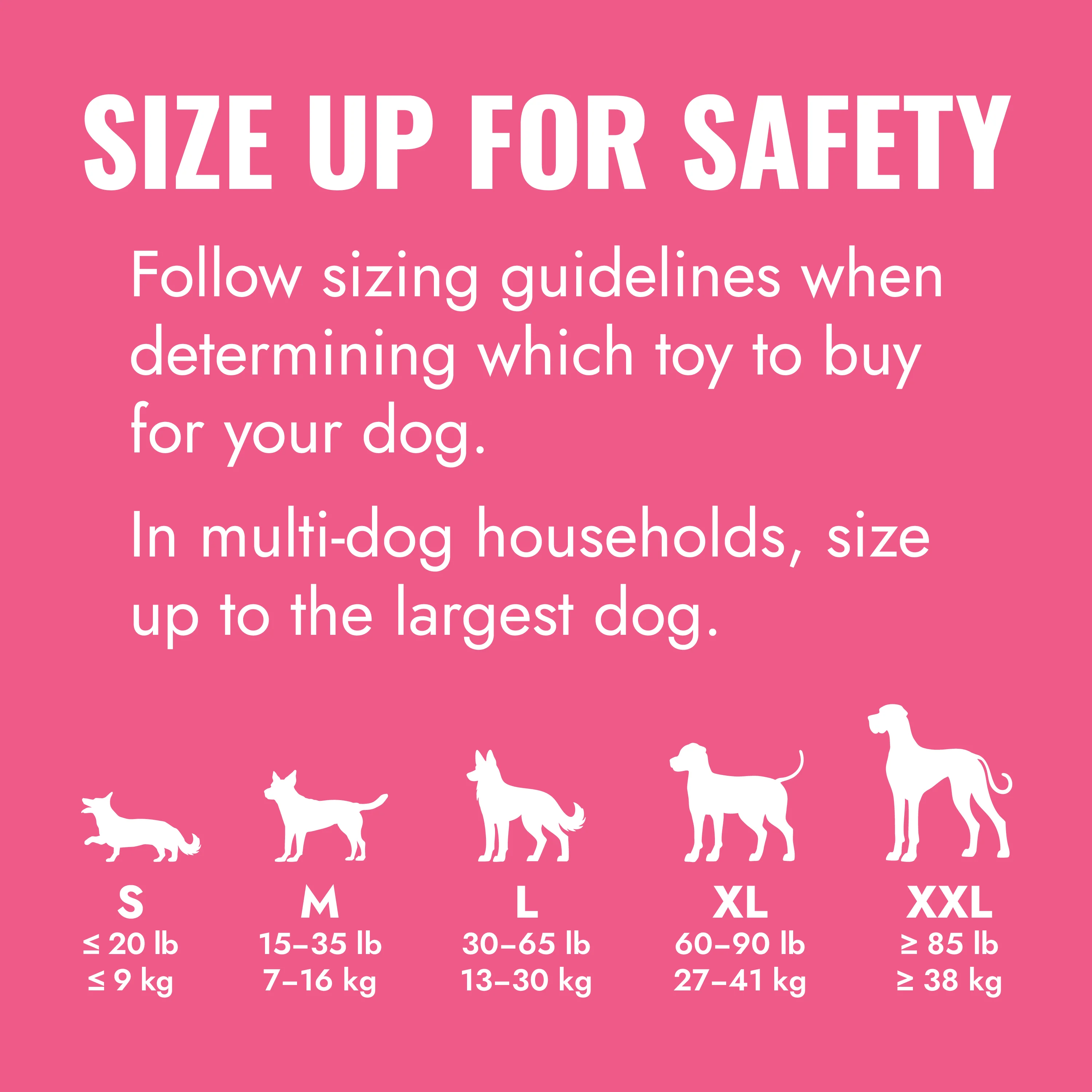 KONG Puppy - Image 9