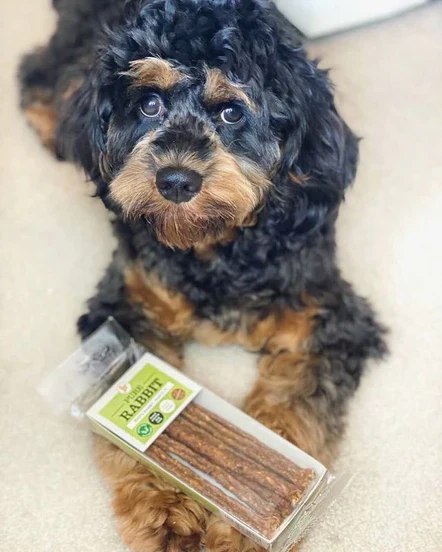 Pure Rabbit Sticks 50g - Image 2