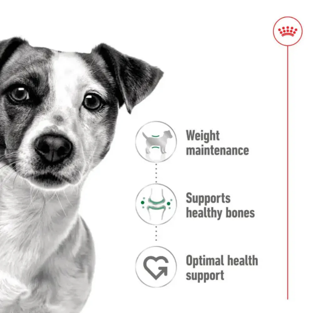 Royal Canin Mini Adult Wet Dog Food 195g Can - Image 4