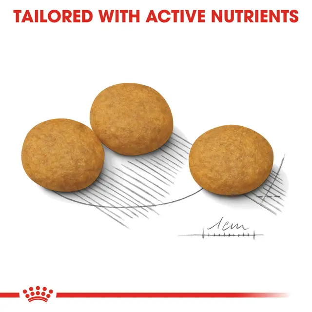 Royal Canin Medium Dermacomfort - Image 3