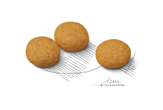 Royal Canin Medium Dermacomfort - Image 4