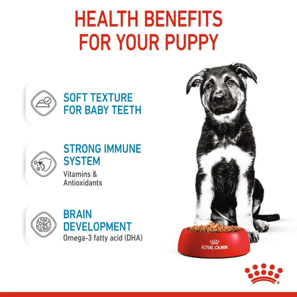 Royal Canin Maxi Puppy Chunks In Gravy 140g - Image 3