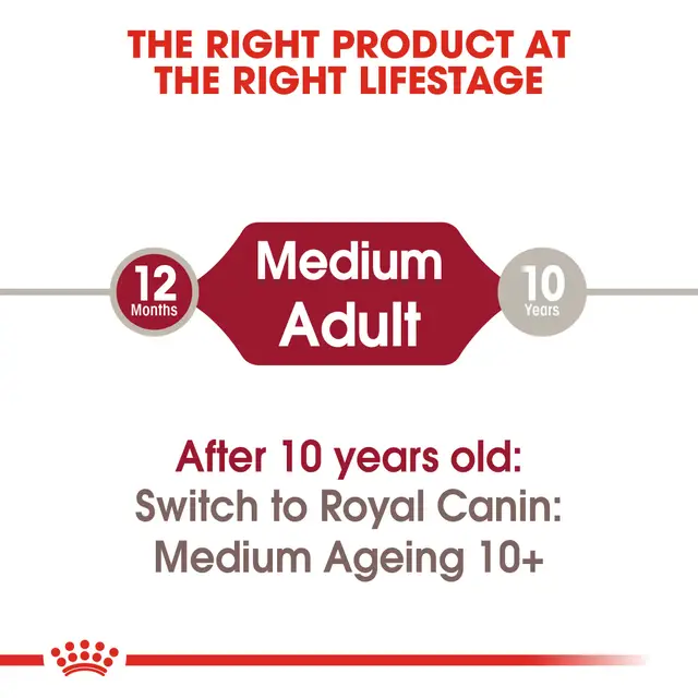 Royal Canin Medium Adult Wet Dog Food Pouch 140g - Image 3