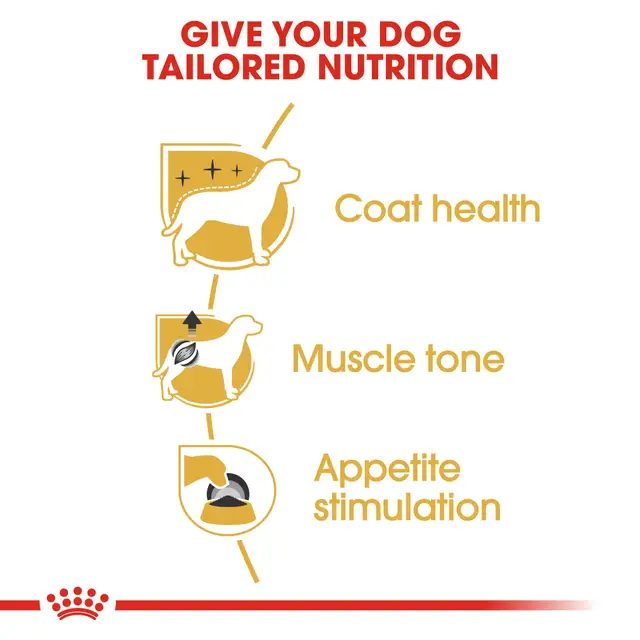 Royal Canin Poodle Adult Wet Food Loaf - Image 4