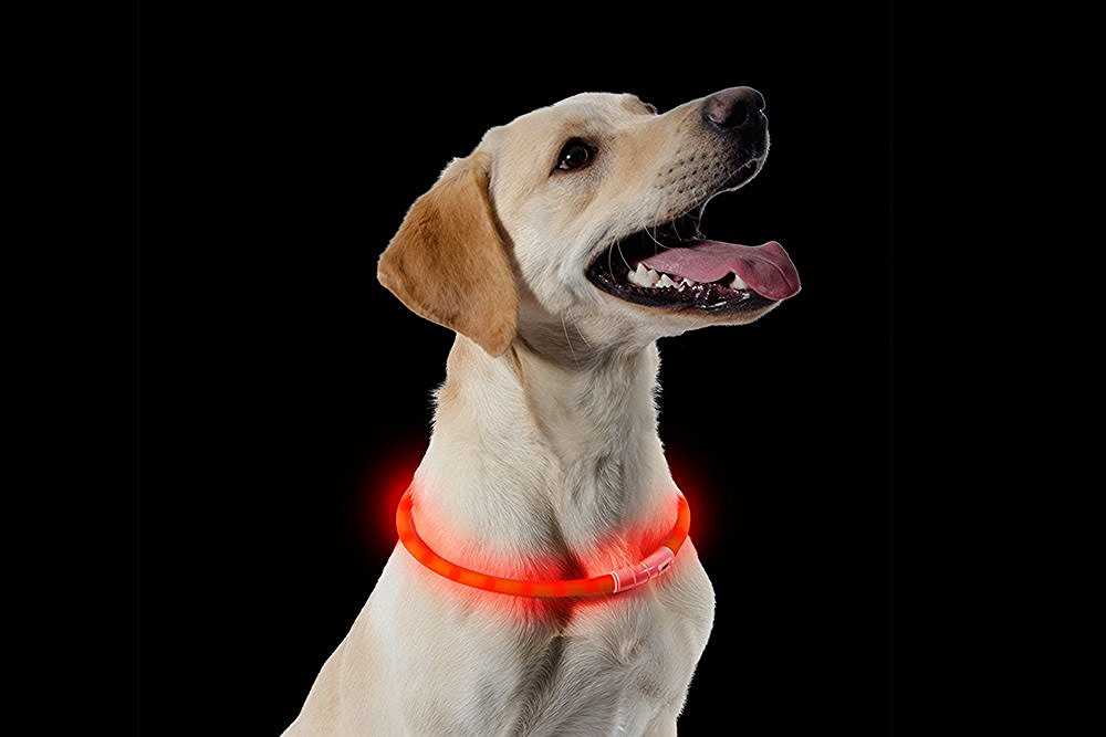 Rechargeable Safety Halo