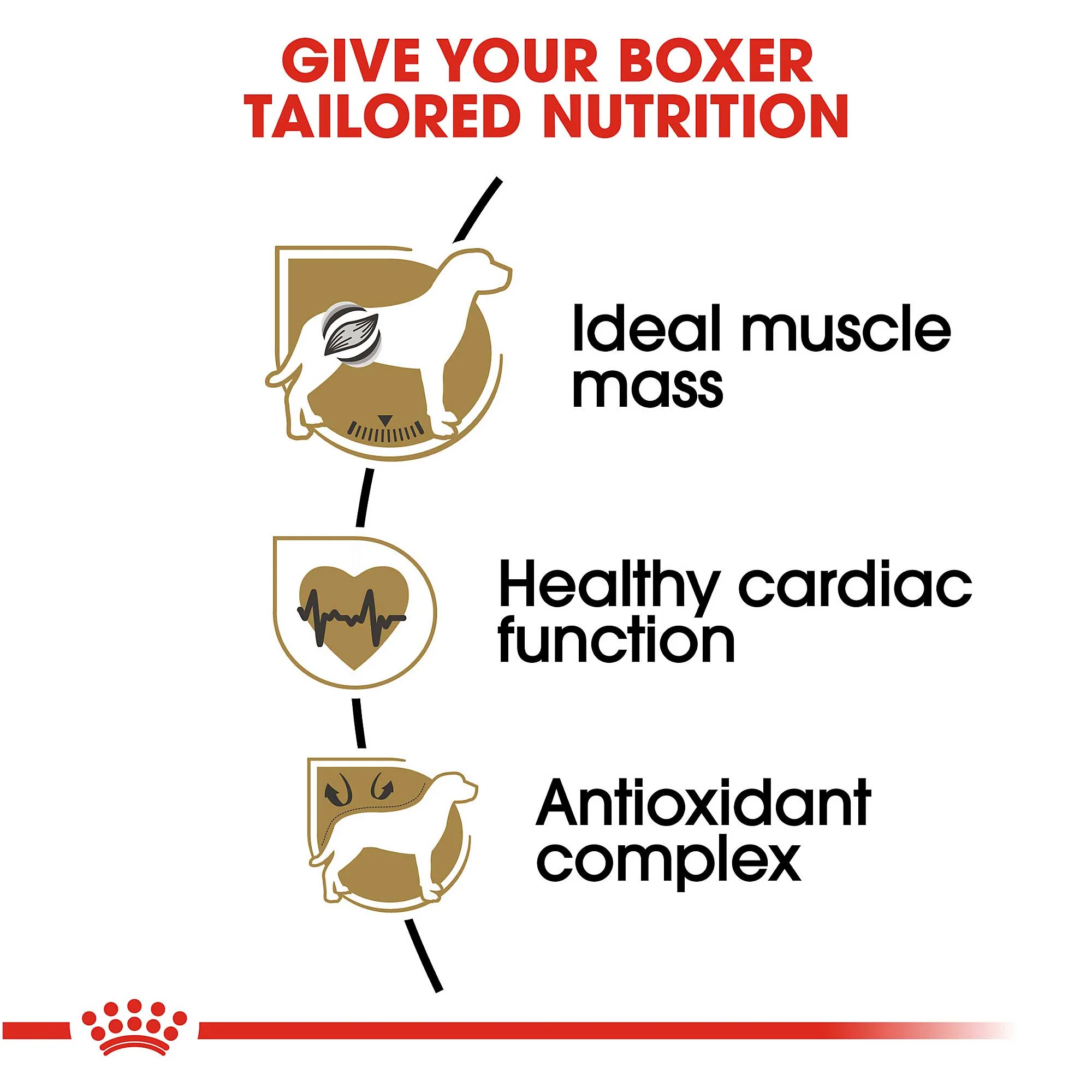 Royal Canin Adult Boxer Food - Image 4