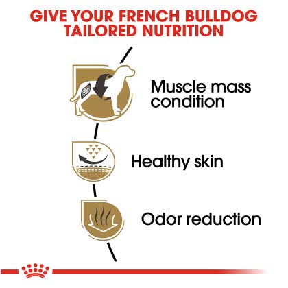 Royal Canin Adult French Bulldog - Image 5
