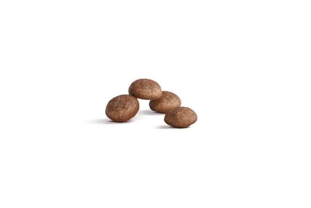 Royal Canin Ageing 15+ Cat Food - Image 2