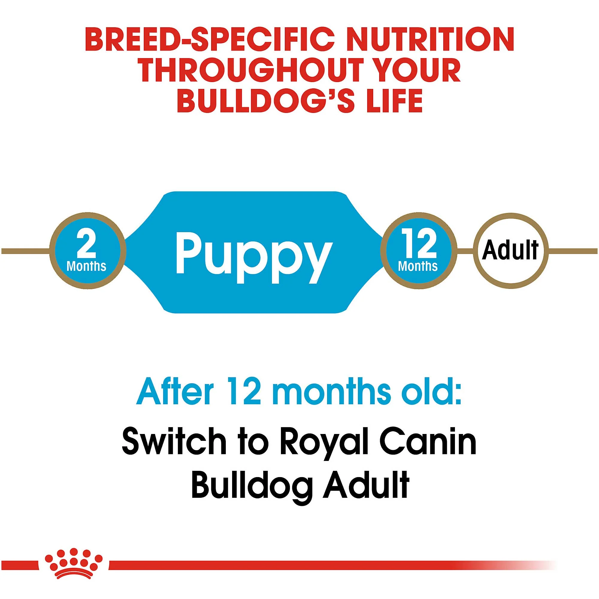 Royal Canin Bulldog Puppy Dog Food - Image 4