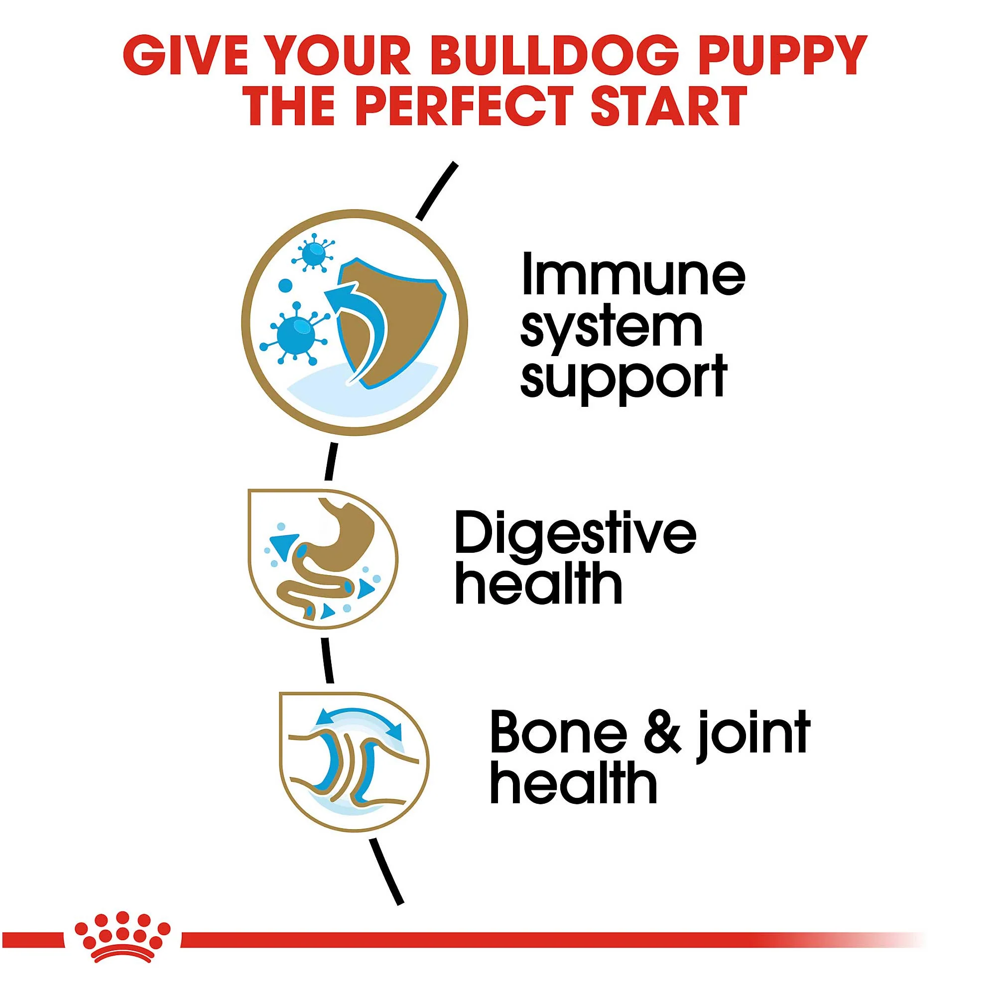 Royal Canin Bulldog Puppy Dog Food - Image 5