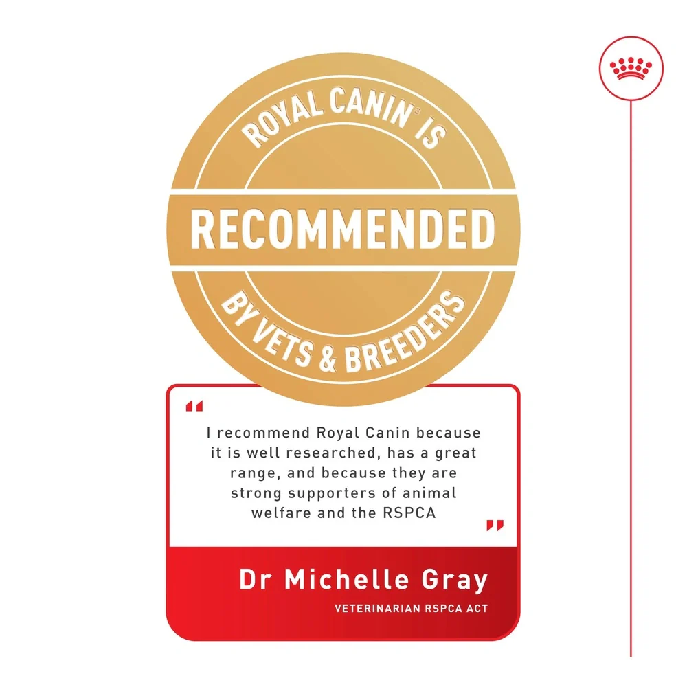 Royal Canin Indoor Sterilised in Gravy Wet Cat Food 85g Pouch - Image 6