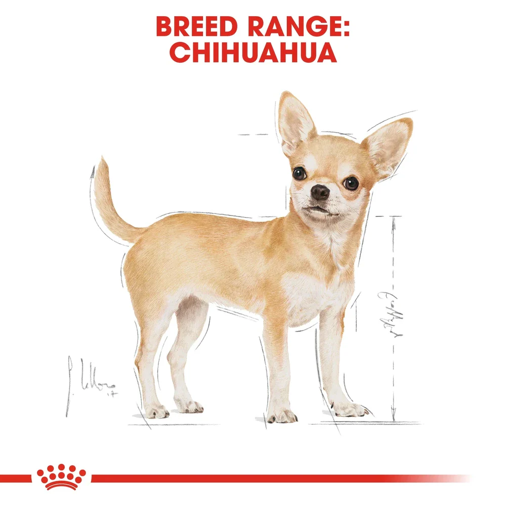 Royal Canin Chihuahua Dog Food Pouch 85g - Image 2