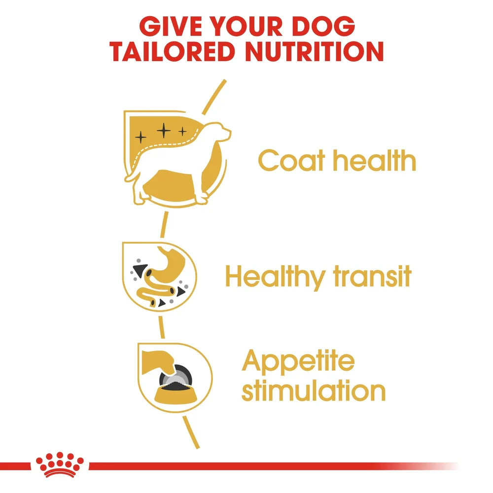 Royal Canin Chihuahua Dog Food Pouch 85g - Image 4