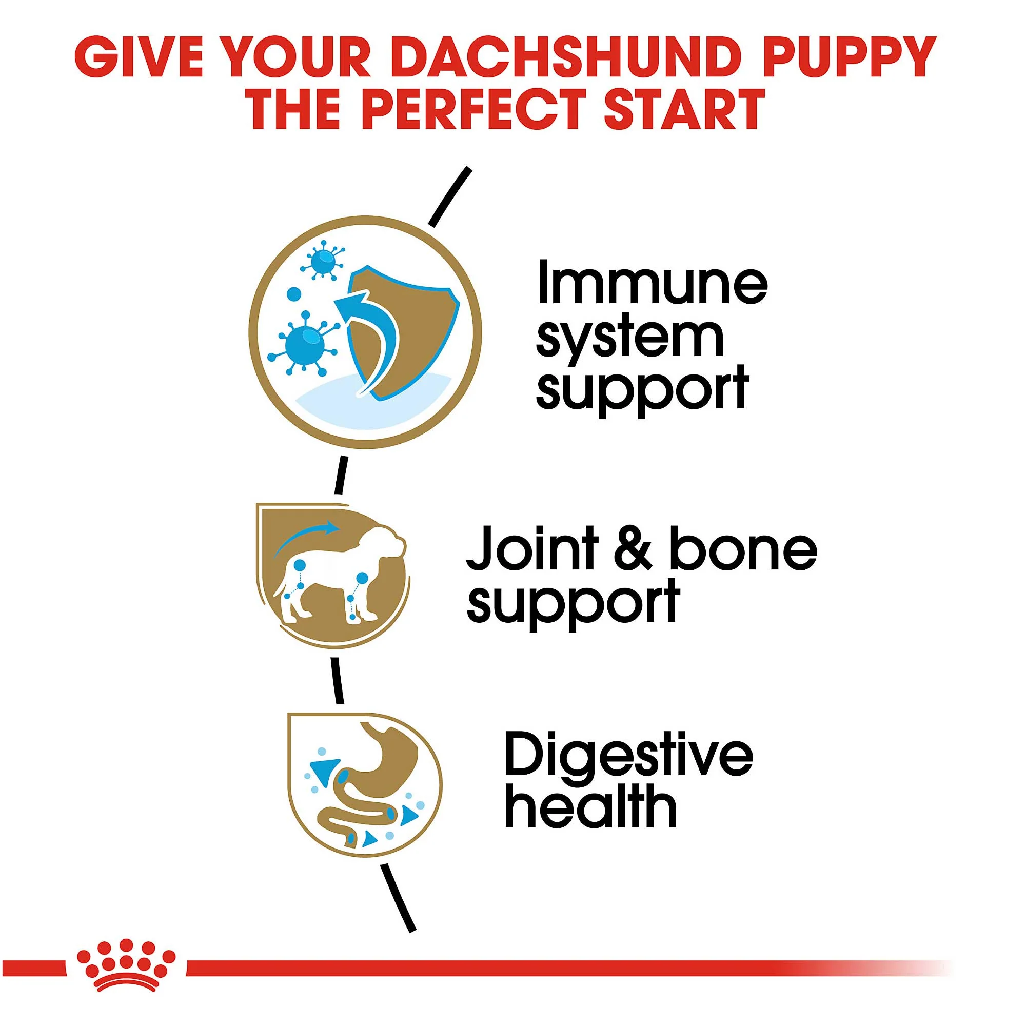 Royal Canin Dachshund Puppy 1.5Kg - Image 4