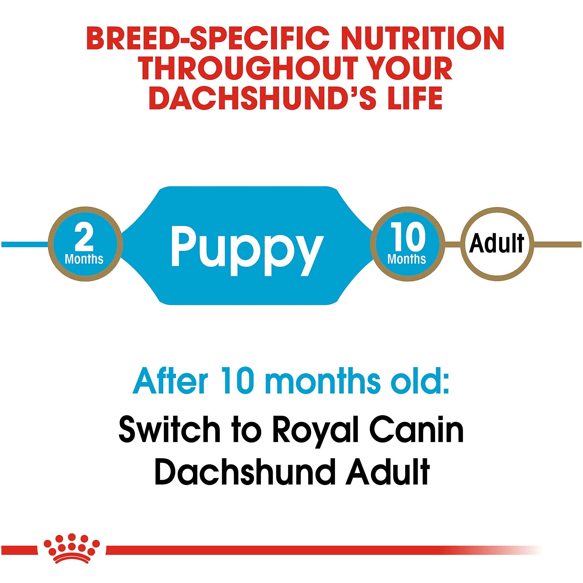 Royal Canin Dachshund Puppy 1.5Kg - Image 5
