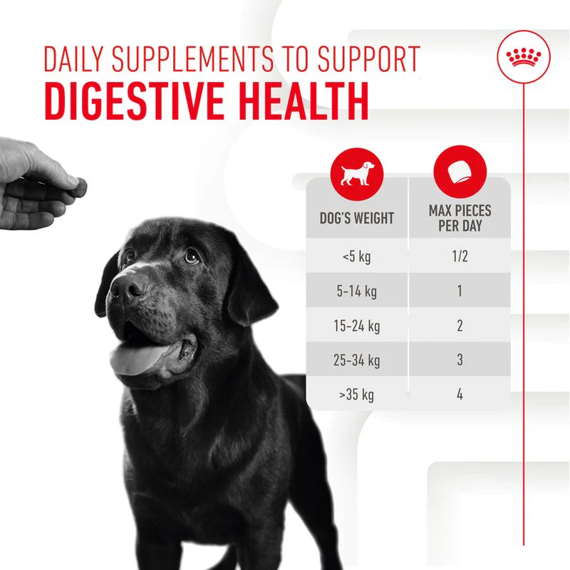 Royal Canin Digestion Chews 160g - Image 2