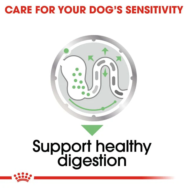 Royal Canin DIgestive care Loaf 85g Pouch - Image 2