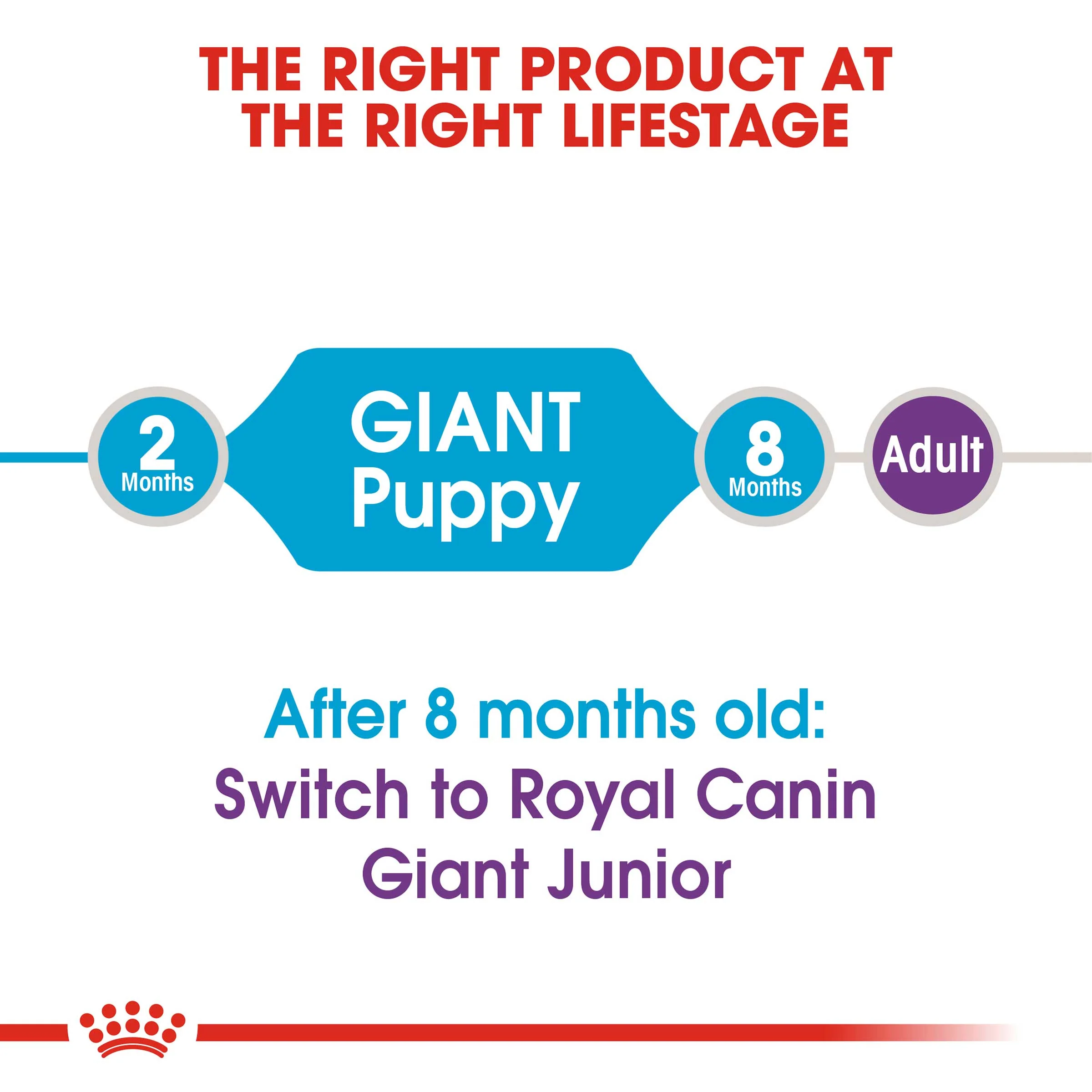 Royal Canin Giant Puppy Dog Food - Image 5