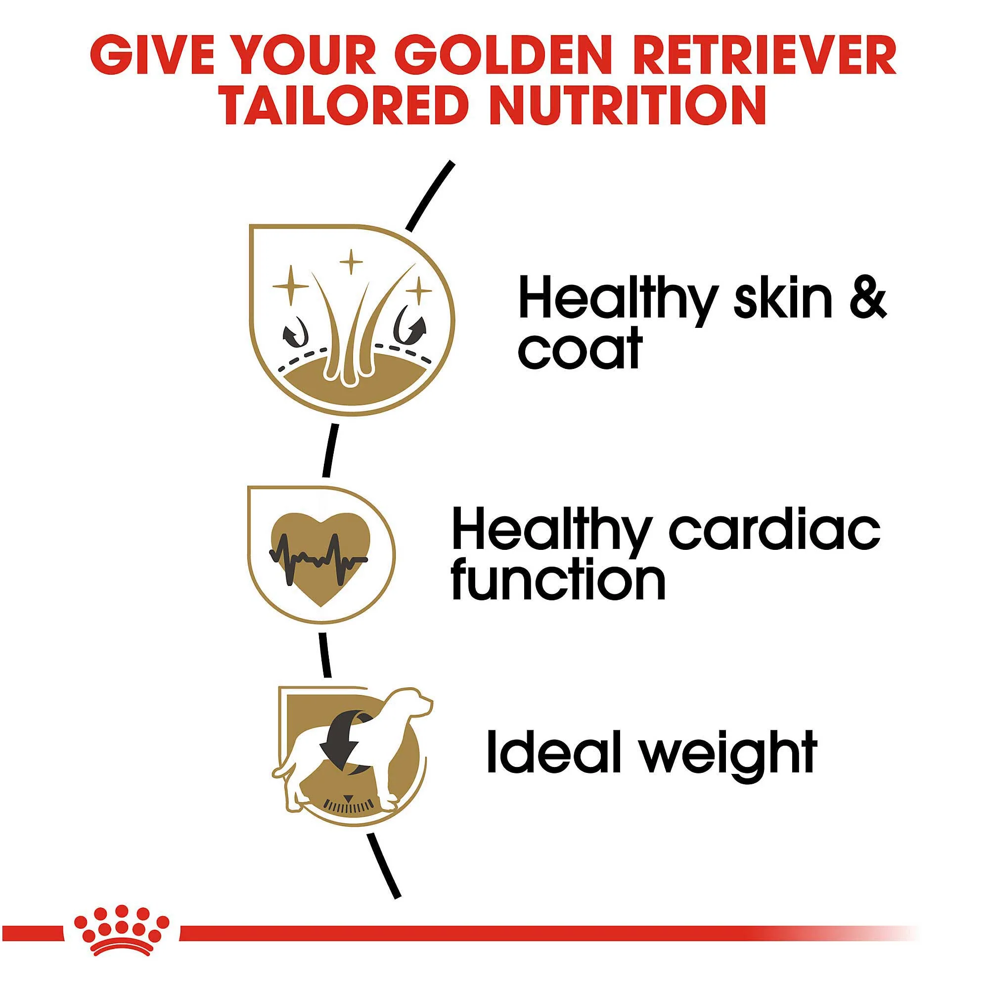Royal Canin Golden Retriever - Image 3